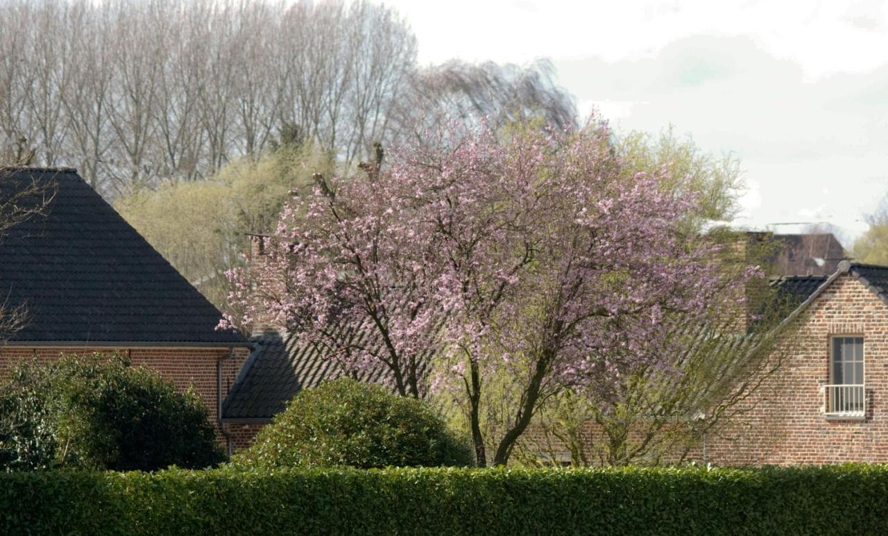 Bed and Breakfast De Rankhove Herne Exteriér fotografie
